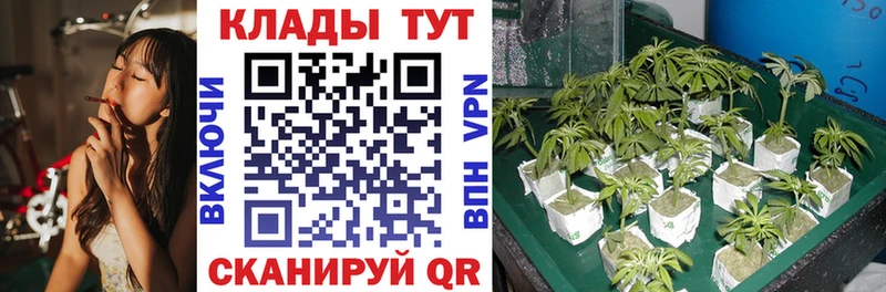 Где купить наркотики Александровск-Сахалинский мега ссылка  МЕФ  COCAIN  Гашиш  Марихуана 