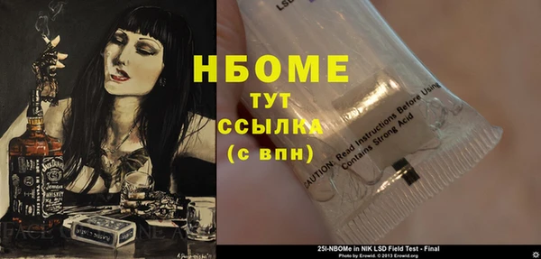 ГАЛЛЮЦИНОГЕННЫЕ ГРИБЫ Гусев