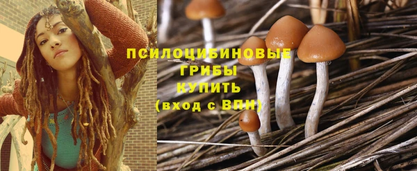 бошки Абинск