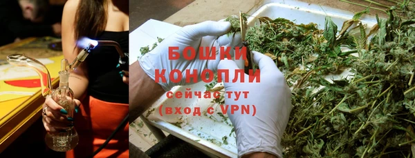 бутират Гусь-Хрустальный