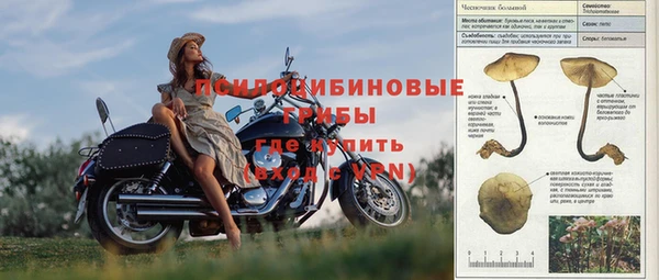 стафф Сатка