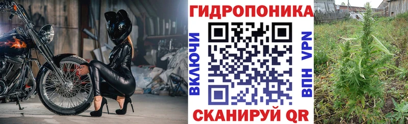 где найти   Александровск-Сахалинский  Бошки марихуана план 
